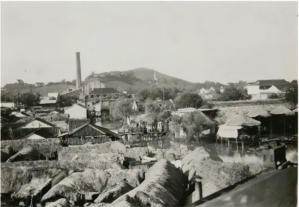 从王传福的眼泪读懂比亚迪,比亚迪王传福成功的原因和启示