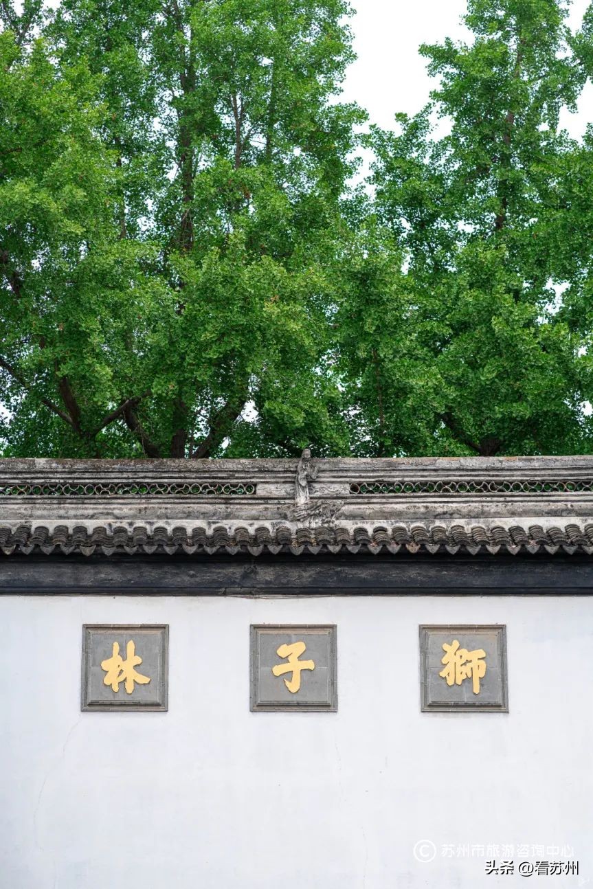 苏式园林庭院壁纸,苏州园林之夜壁纸