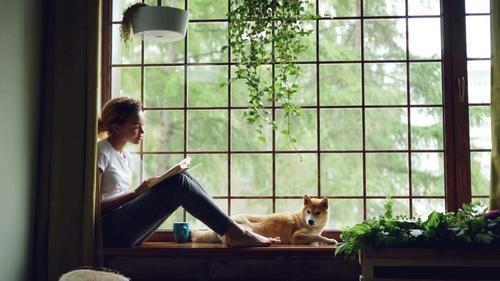 宠物去世很难过,宠物离世我们应该如何面对