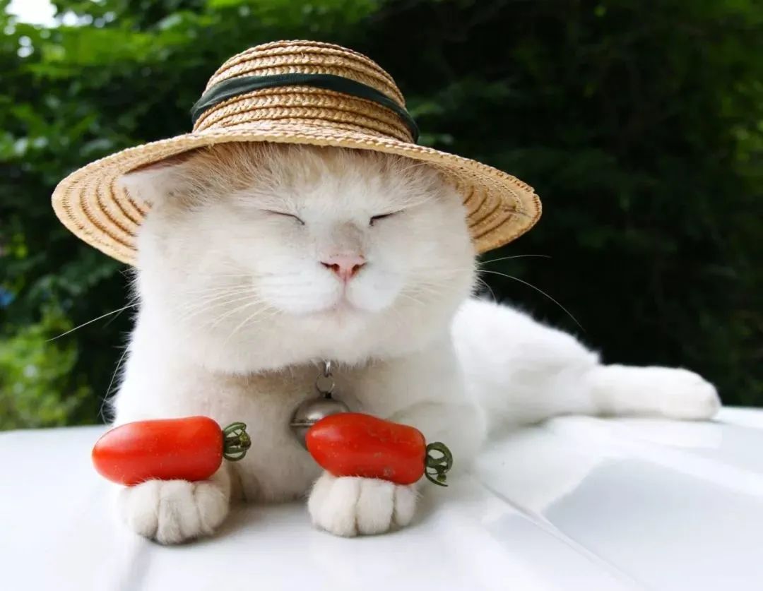 准到心理可怕的小测试,解析十二人格测试