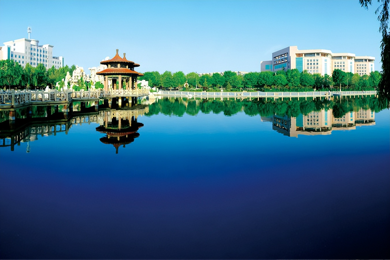 潍坊学院2023年招生分数线表,潍坊本科大学招生