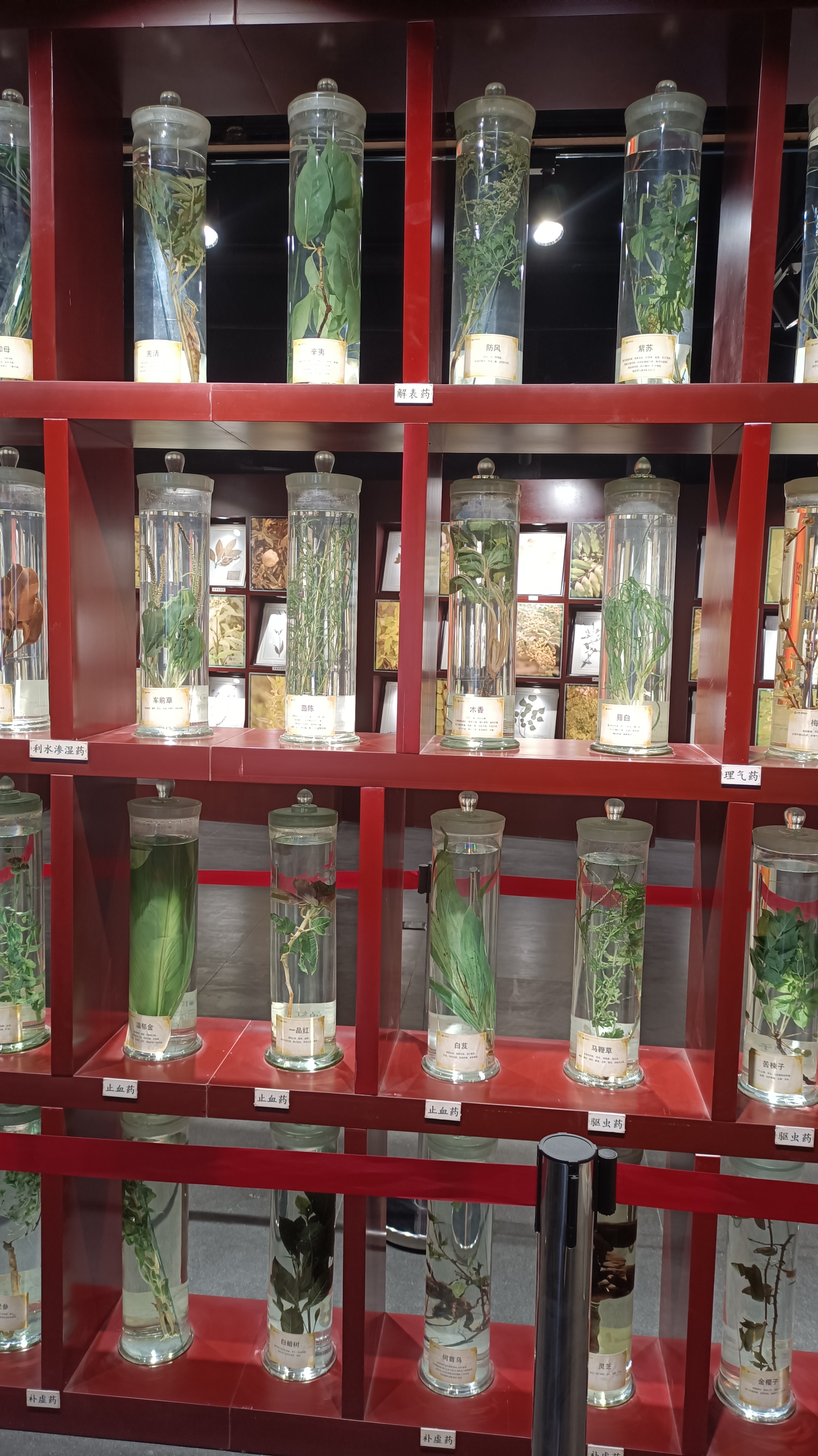 郑州室内旅游攻略必去景点,郑州景点室内游玩攻略