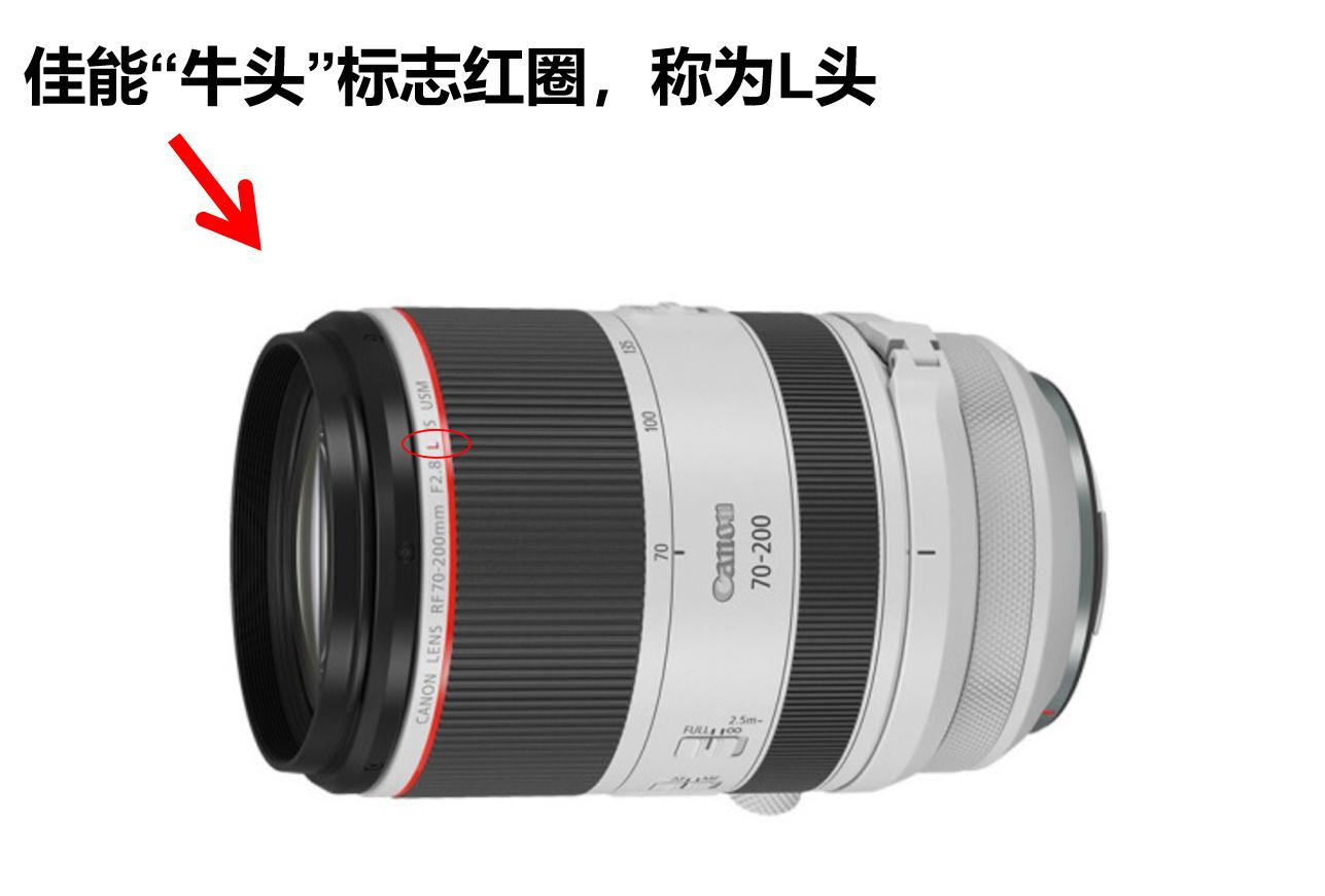 涨知识看什么视频,涨知识原相机