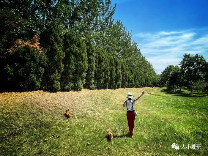 北京花海休闲公园,帝都游乐场
