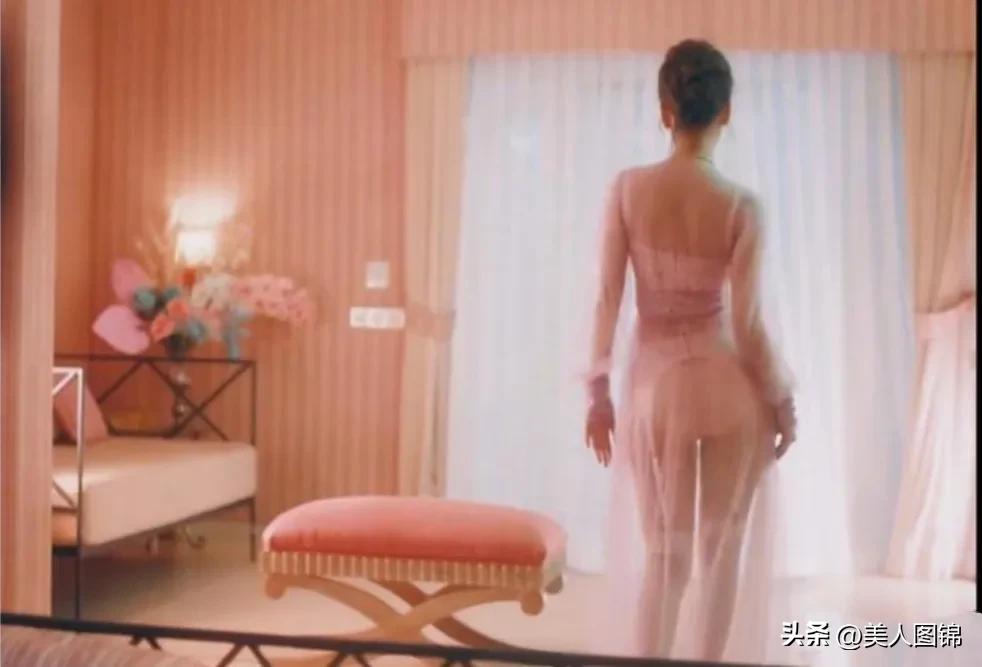 越南芝芙,芝芙越南