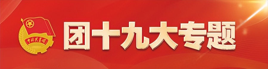 共青团中央全面从严治团,共青团改革与全面从严治团的区别