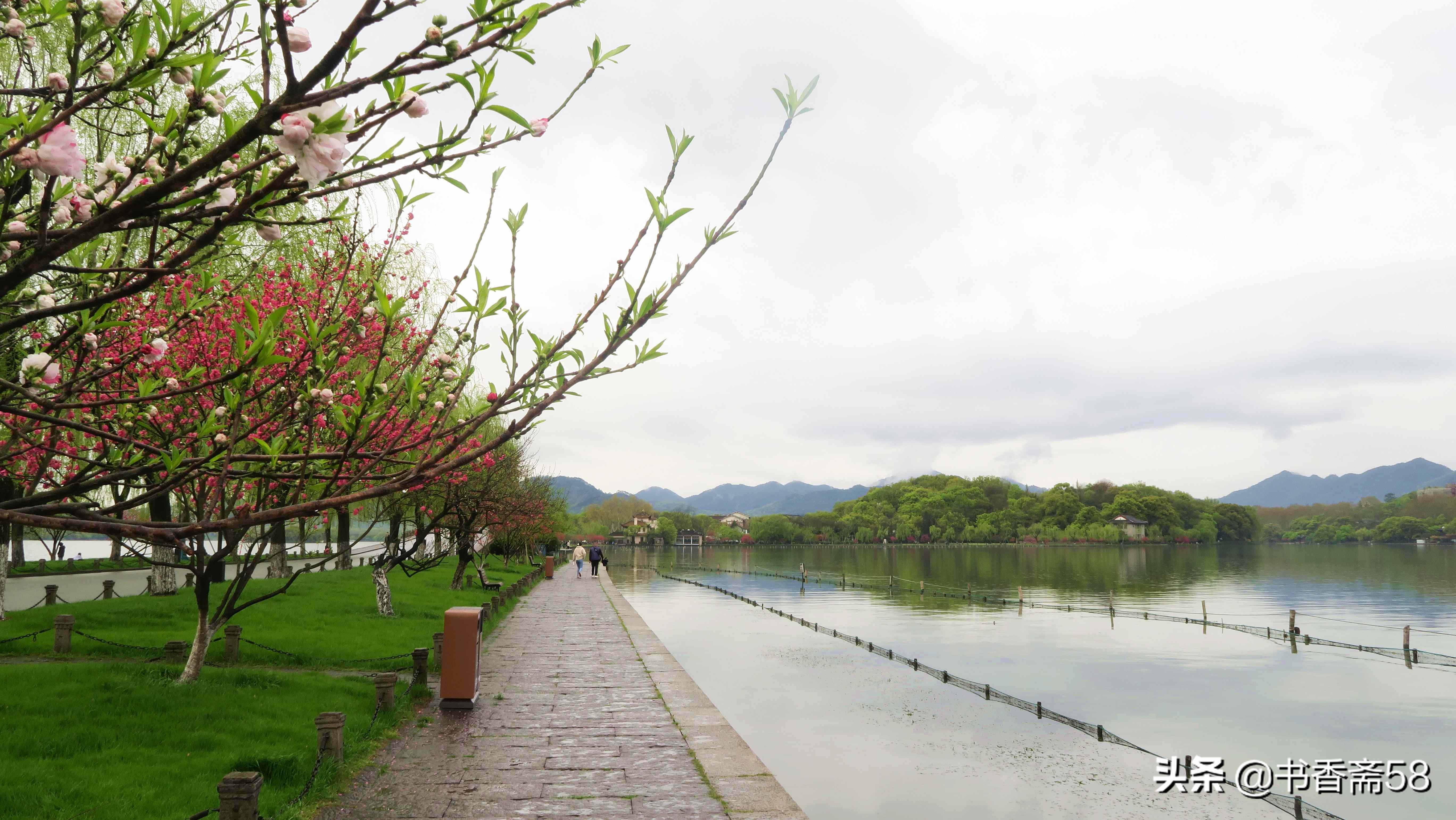 游玩西湖最佳线路攻略,西湖游览公交车路线