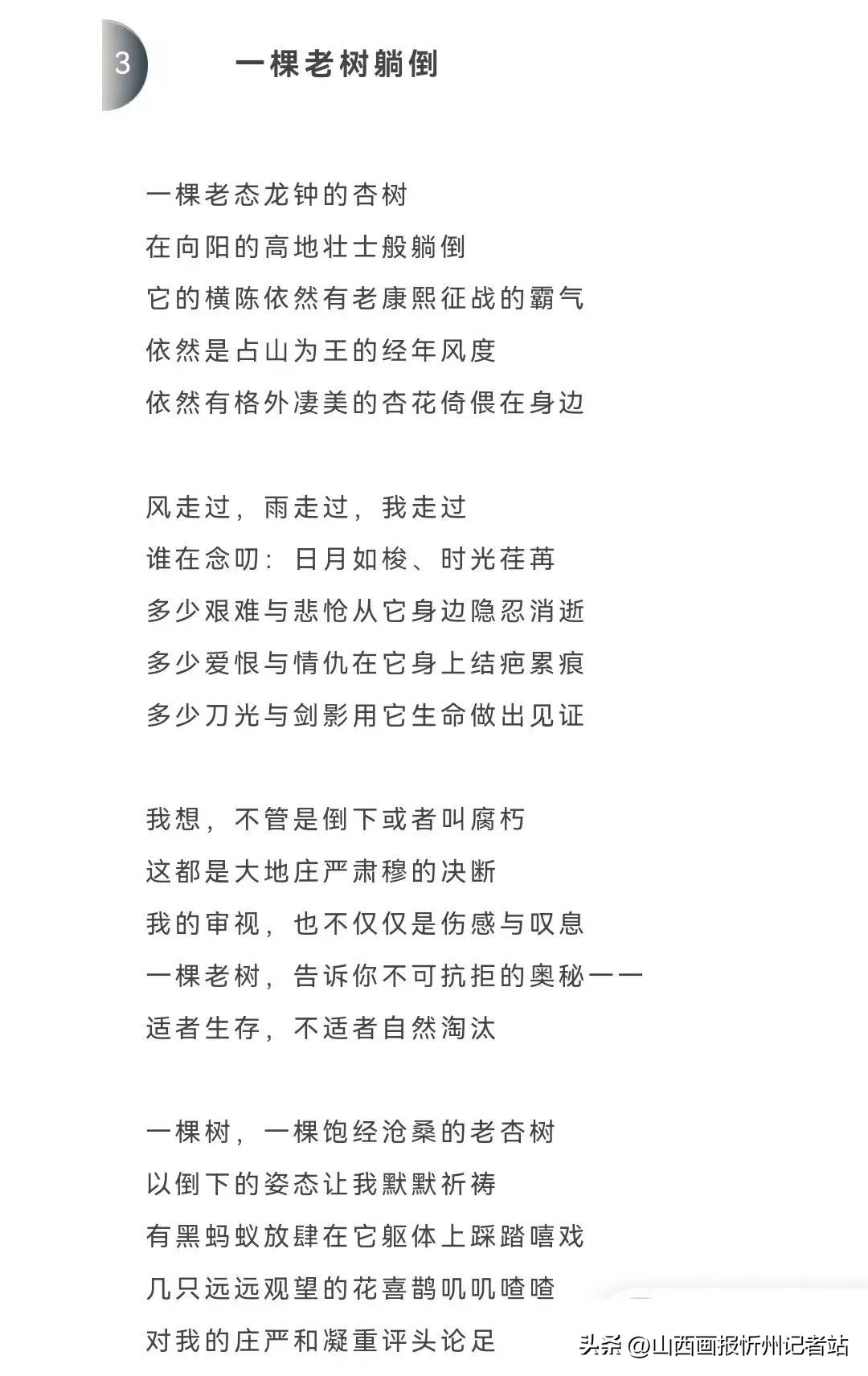 山西中华文化促进会常务副主席郭新民荣获《诗刊》主办“云时代·新工业诗歌奖”特别荣誉奖
