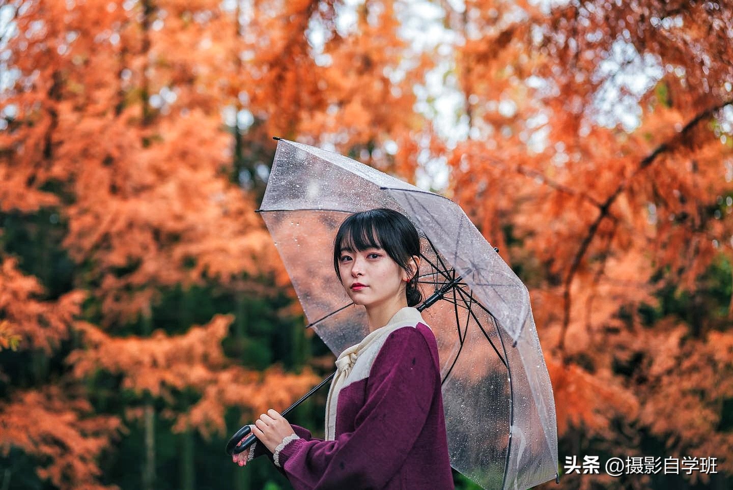 手机拍视频相机参数设置,手机相机拍产品参数设置