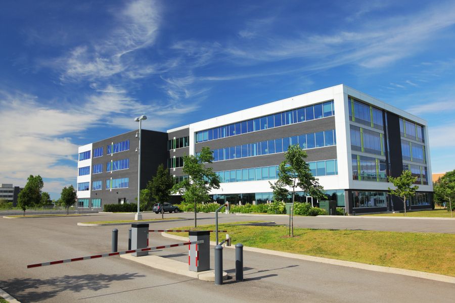 大立科技：走向科技巅峰的先驱者