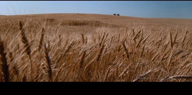 只因一句“太小了！”，竟惨遭毁容，不想引来一个传奇杀手。