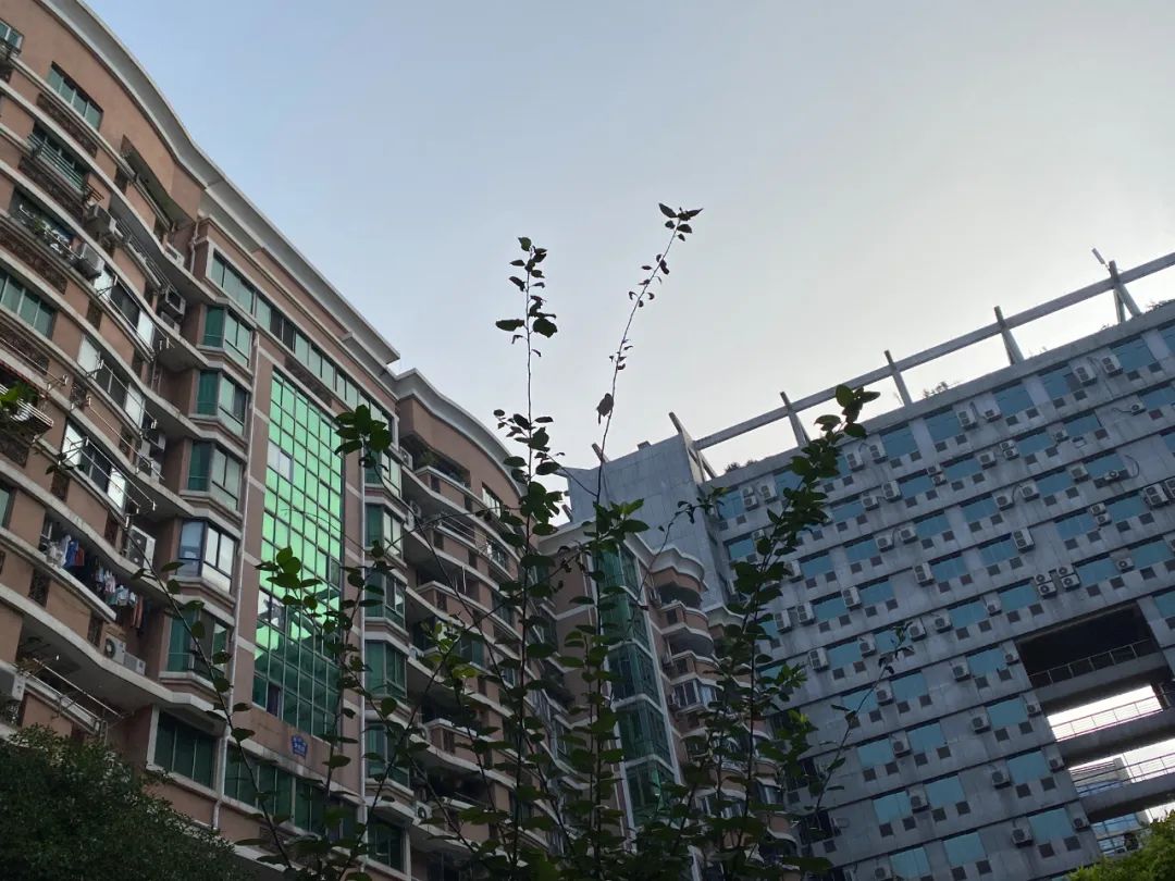 房子为什么不好租出去,租了六年的房子房东突然不租了