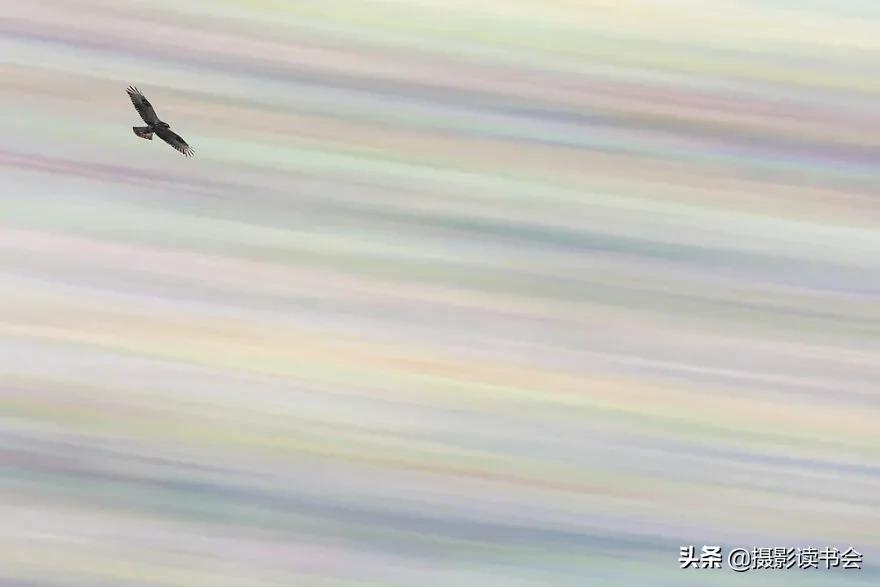 2018年度最佳摄影照片,创造出令人惊叹的自然摄影照片