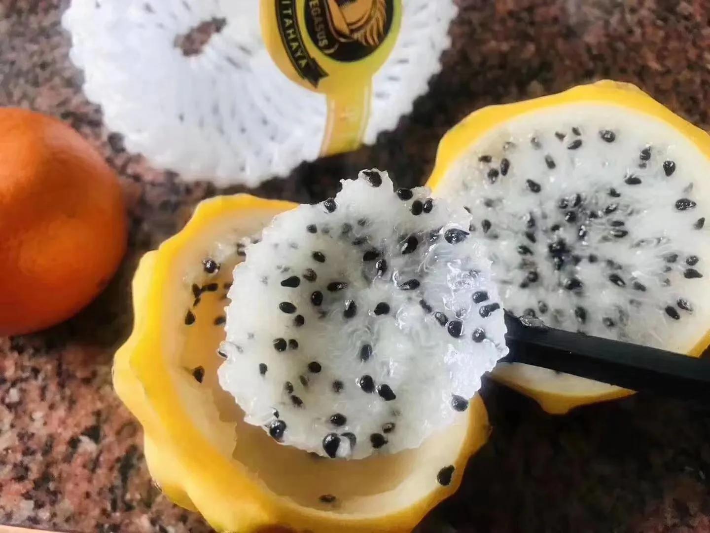 水果中的劳斯莱斯您吃过么