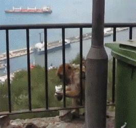 装x图片发朋友圈,朋友圈高质量装x的图片