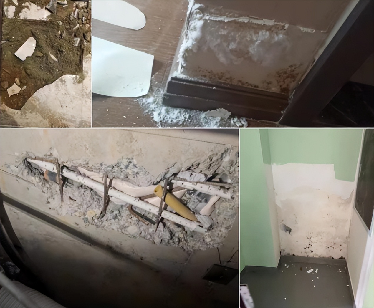 验房师容易被打吗,验房师被打完整版