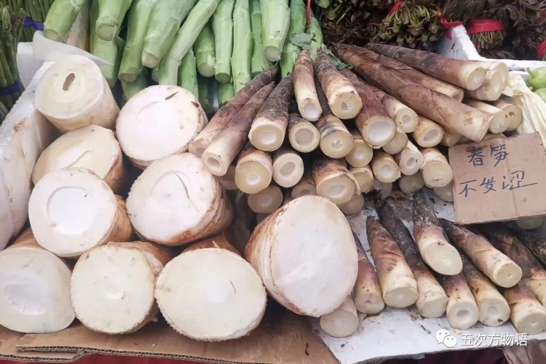 茎菜类蔬菜大全，你全吃过吗？
