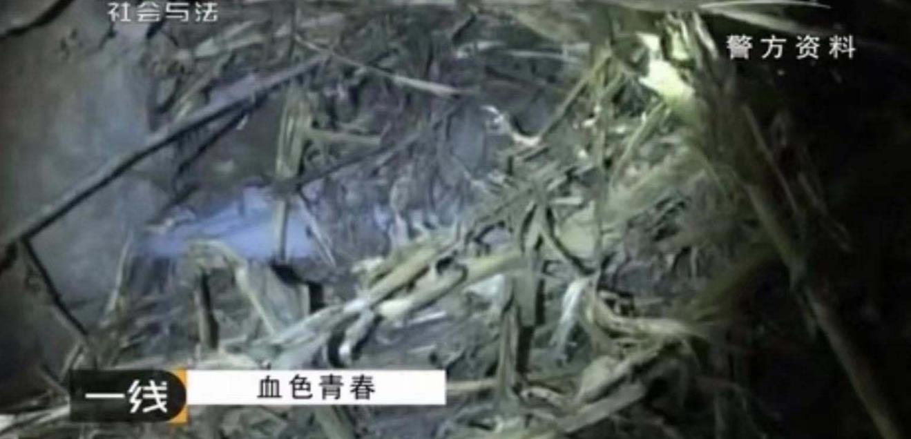 当灵魂被撕裂,灵魂被撕裂的痛