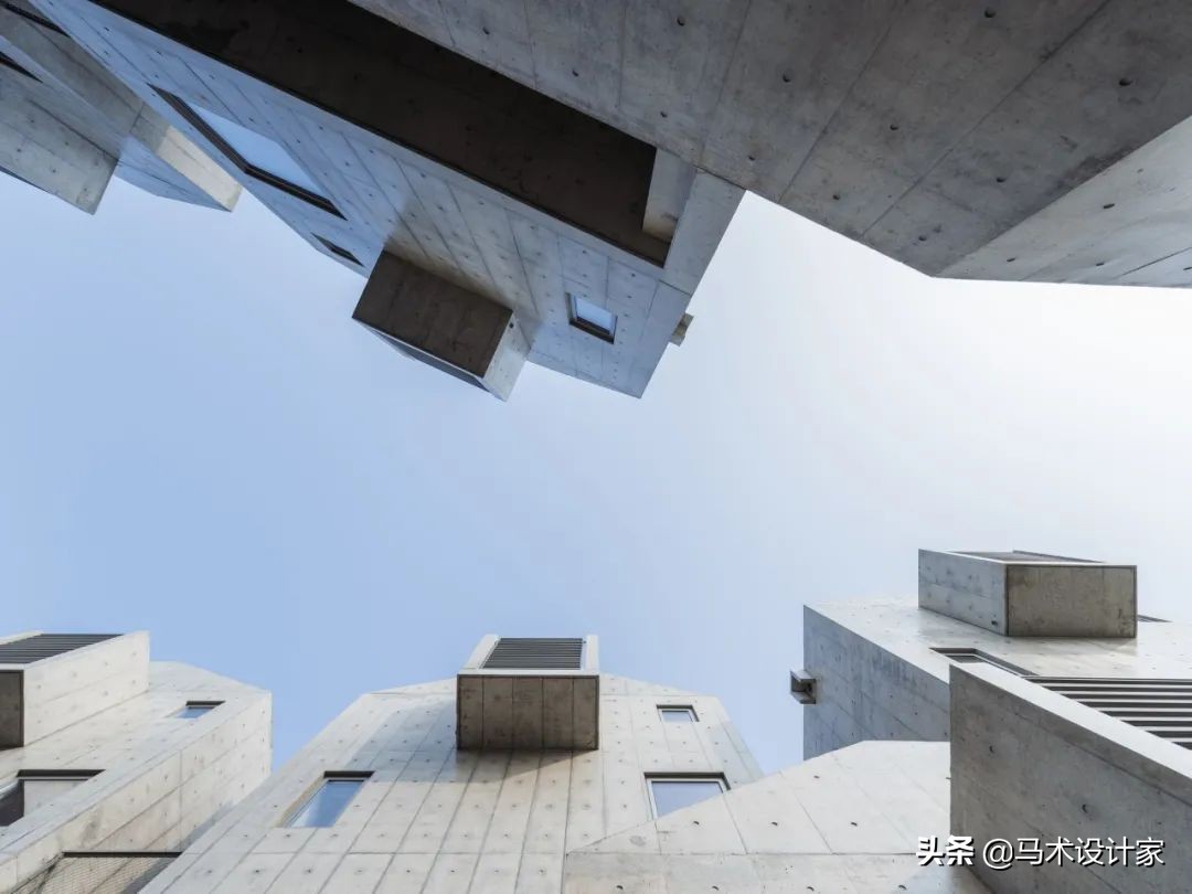 犬舍阿那亚是干什么的,阿那亚犬舍视频