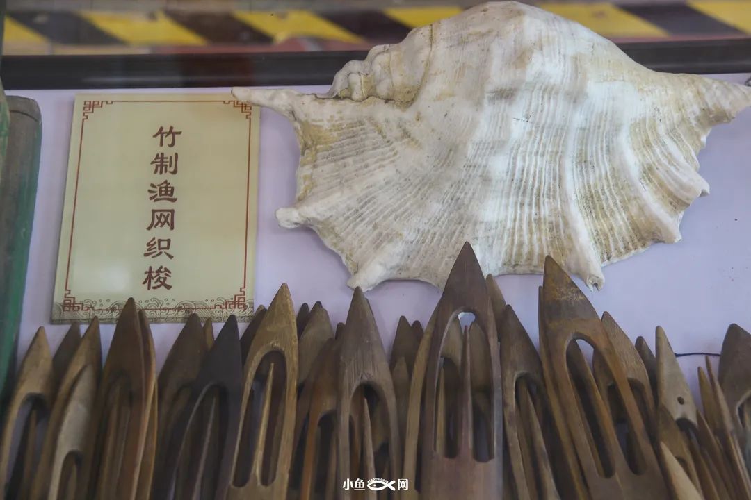 从百年渔港到网红地标!走进厦门最古老的港口,沙坡尾的40年...