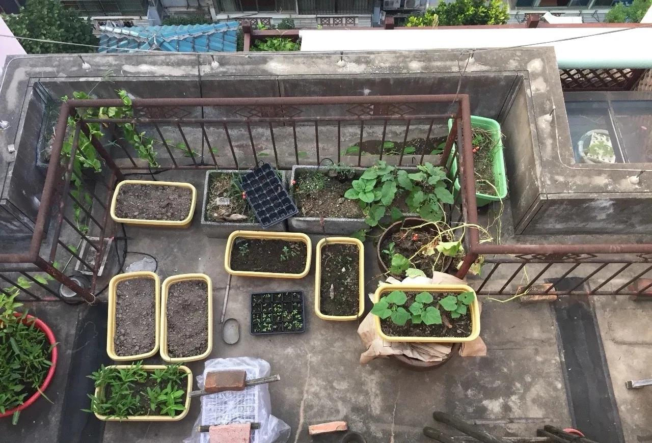 北阙园规划记（一期）