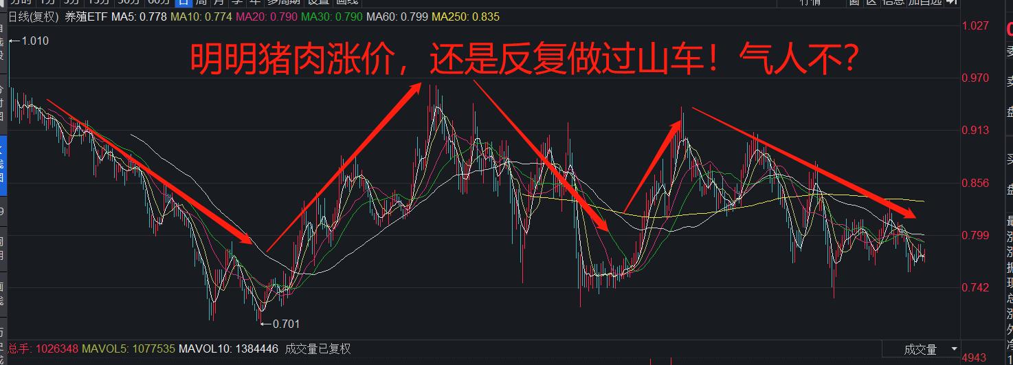 元旦后a股为何持续下跌,a股每日最高涨幅是多少