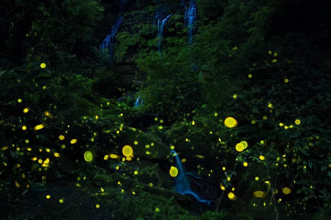 邛崃旅游景点旅游攻略,穿越千年美景