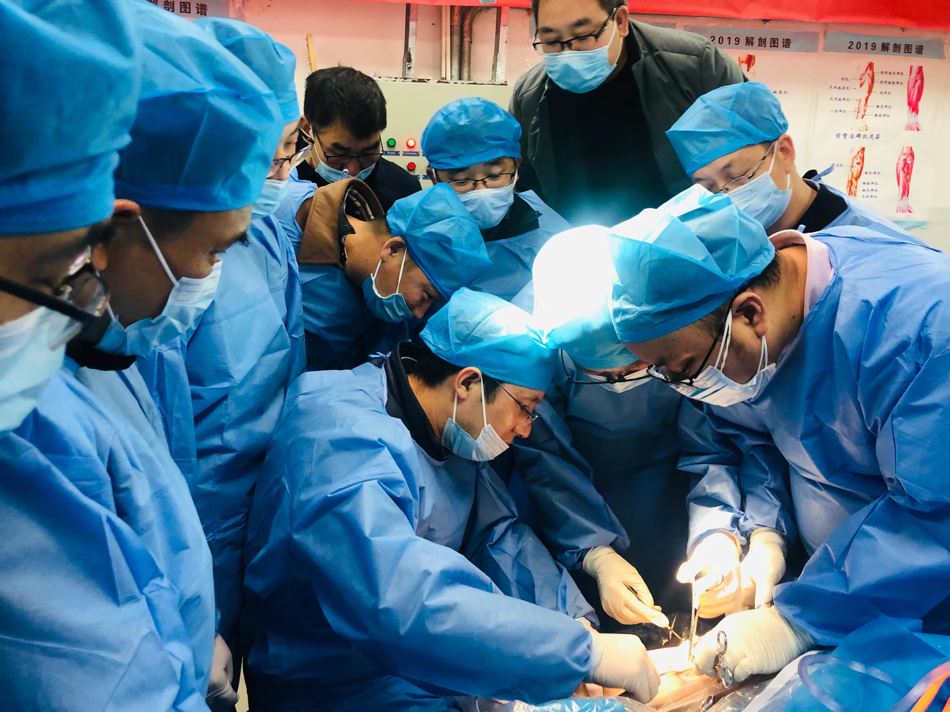 解剖学习致敬经典传承技术郴州市第一人民医院解剖培训班圆满结束