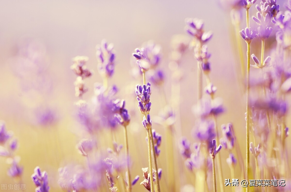 强烈推荐适合上班族的这3个副业,上班族如何增加副业收入