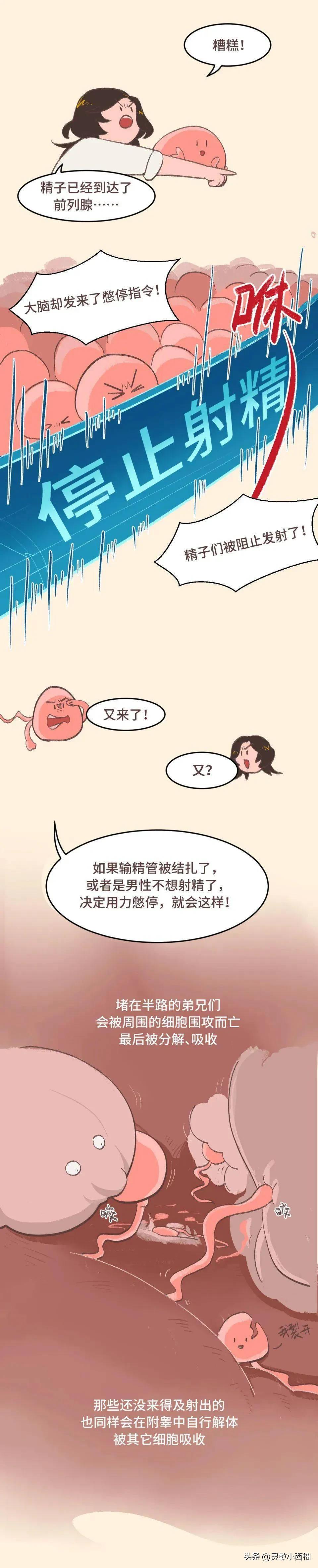 夫妻*生活性**中男人只要不*射内**就能避免怀孕吗？