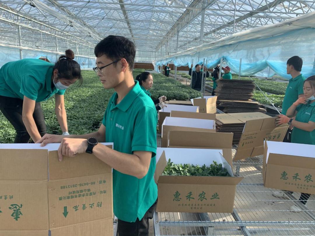 育苗基地规划建设,育苗基地建设计划书