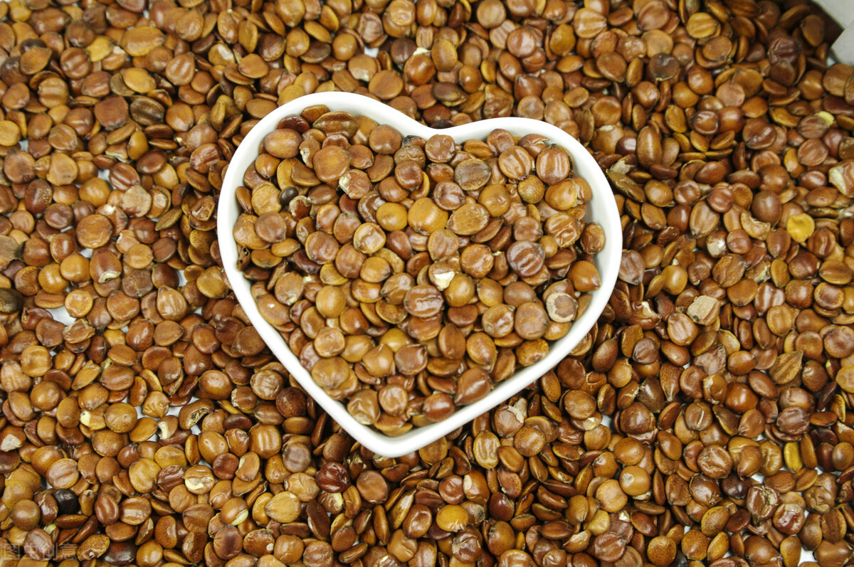 失眠睡眠质量差的中成药,睡眠不佳吃什么中成药