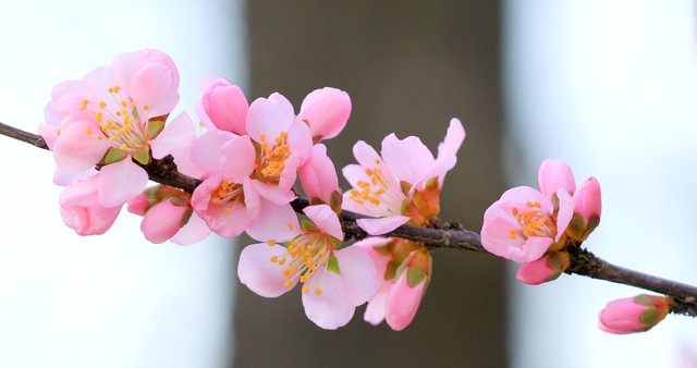 发现妻子跟别的男生暧昧怎么办,发现老公和其他女人聊暧昧