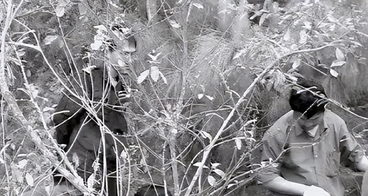 畸形恋母到底有多可怕？看完云南这1个案例，你就明白了