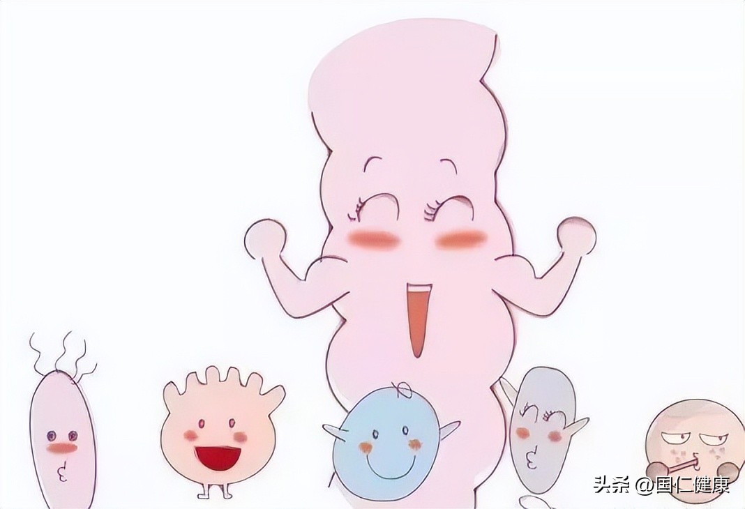 什么食物是肠胃清道夫,这种食物被称为肠道清道夫