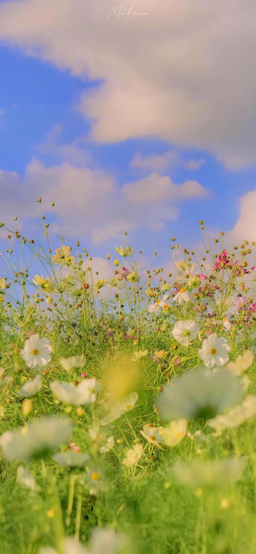 湛蓝的海水海滩风景高清壁纸,高清壁纸8k全屏无水印风景