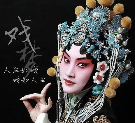 诗和美应多元化：人面桃花是美，屎壳螂癞蛤蟆也别有趣味