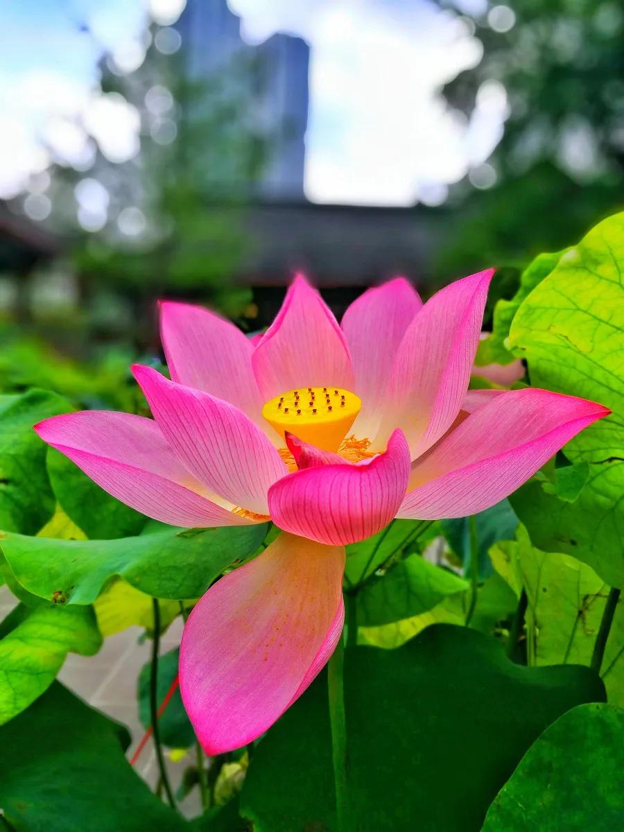 春树的人生格言书籍,人生书籍里的经典语录大全