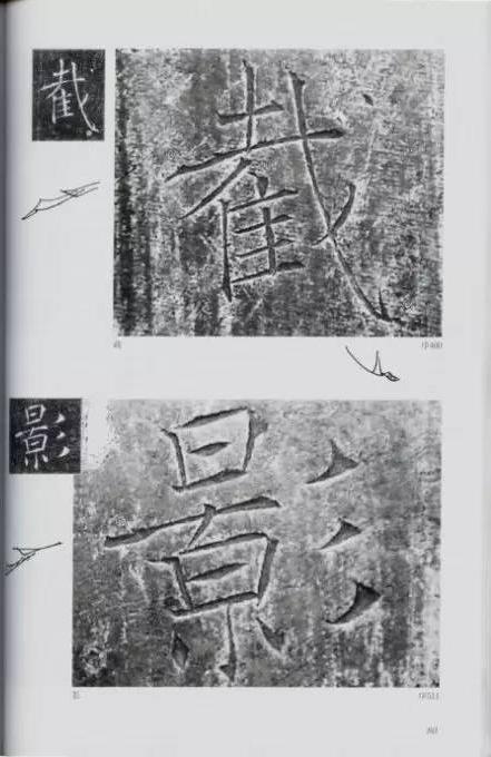 宸ョ瑪鐢绘潹鏅箟鐢诲唽,鏉滈箖鏉ㄦ櫘涔夊畬鏁寸増