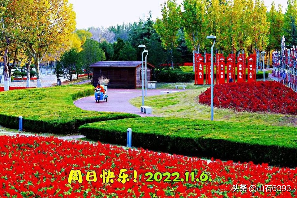 「战友美文」丁怀华的“往事犹忆”——《口子酒花生米情结》