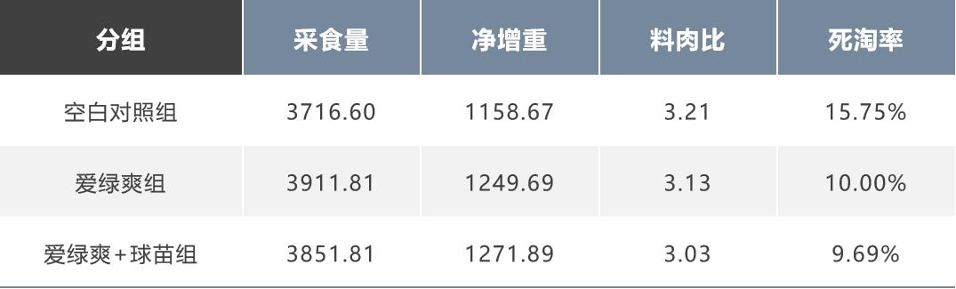 如何防治球虫不再复发,防治球虫药