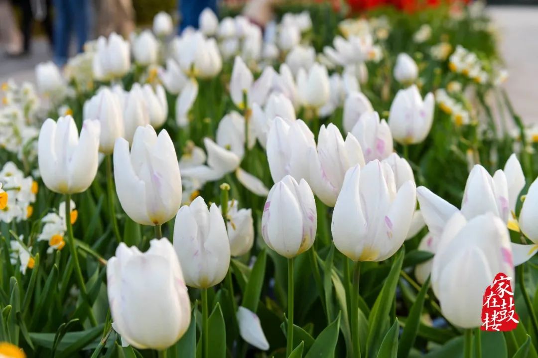 一秒穿越到最浪漫的地方,一秒穿越到风景里