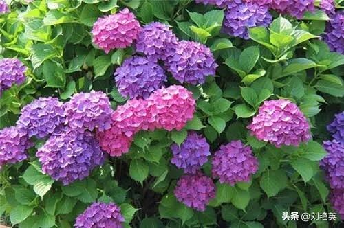 过去年代的老师,过去的老师和现在的老师