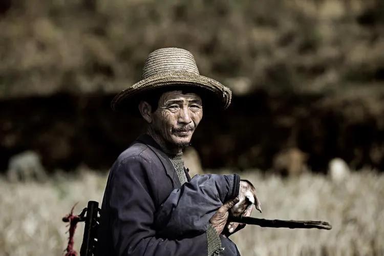 当今五大奇怪现象,当今社会10大反常