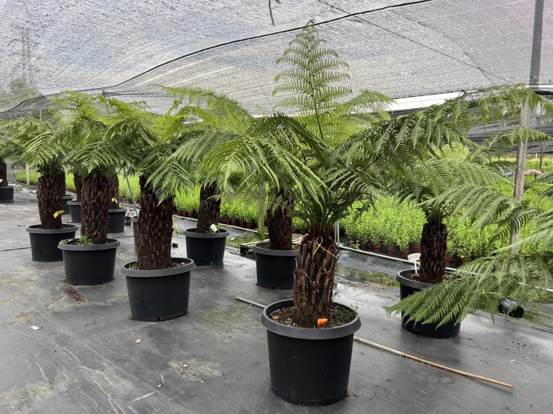 农产品网络电商怎么销售,园艺电商怎么做好销售的