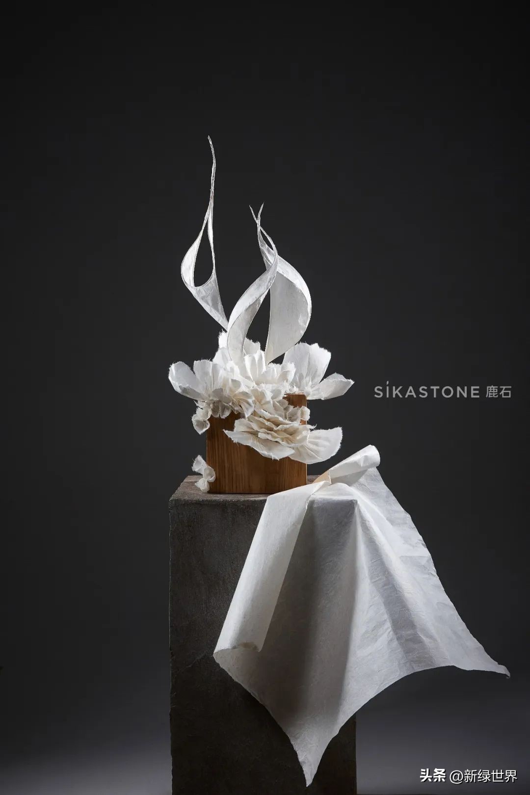 纸艺作品绘画,千变万化的纸艺术作品