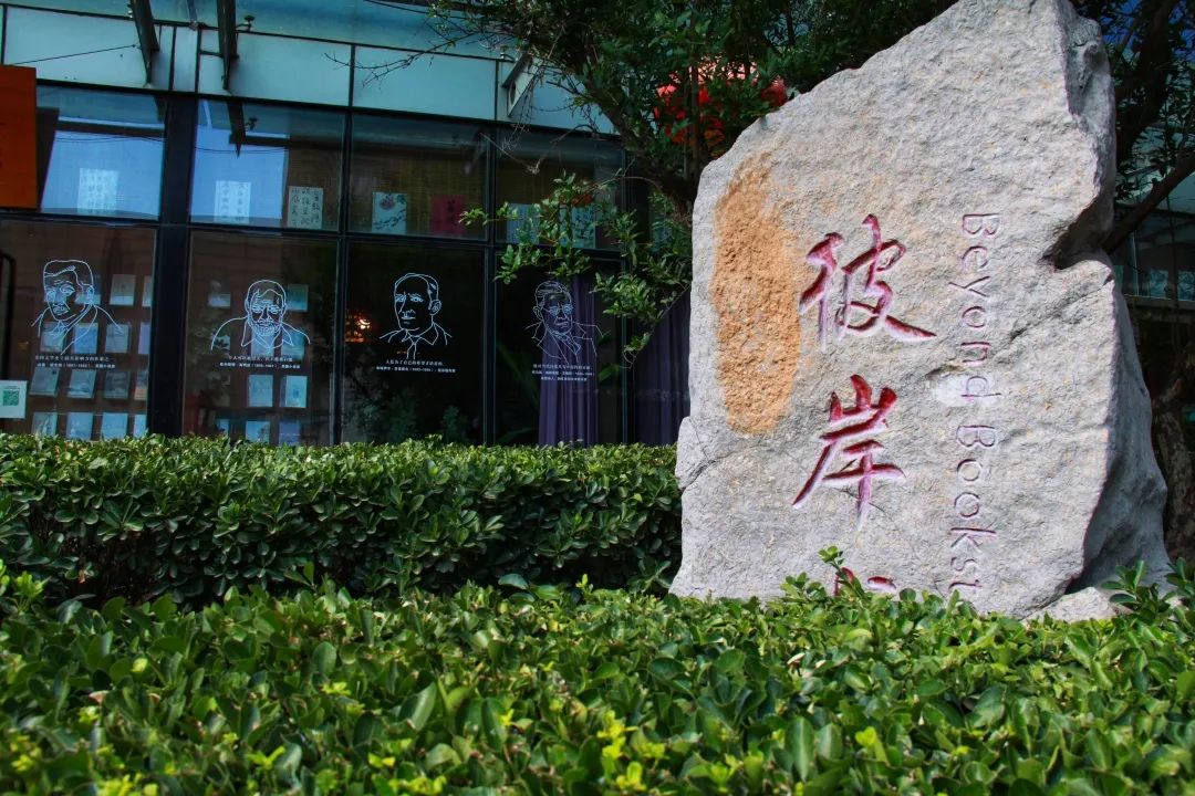 11月最值得看的10本好书,6本值得一看的好书