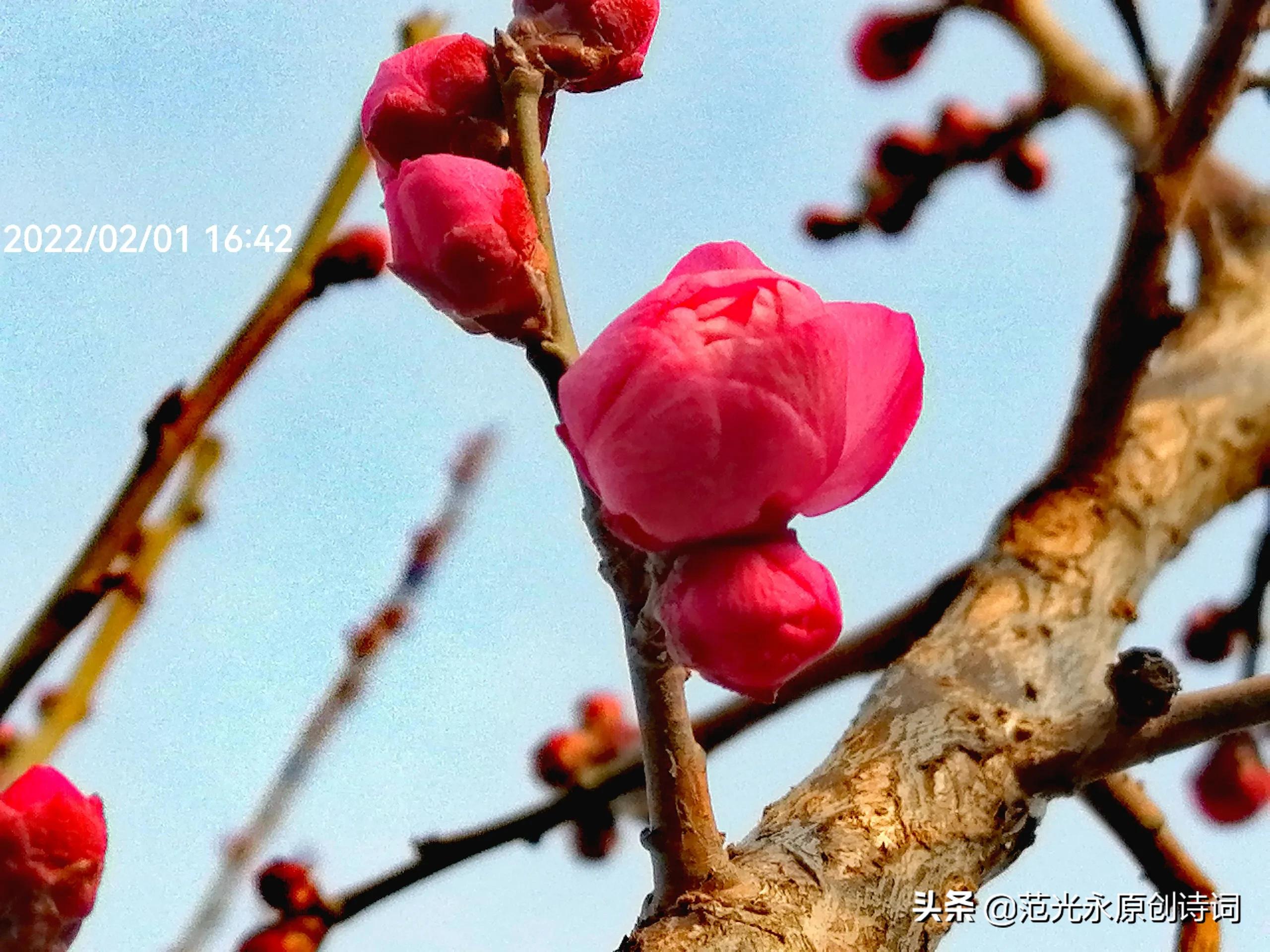 娆㈠害鏂版槬璇楄瘝,娆㈠害鏂版槬璇楀彞