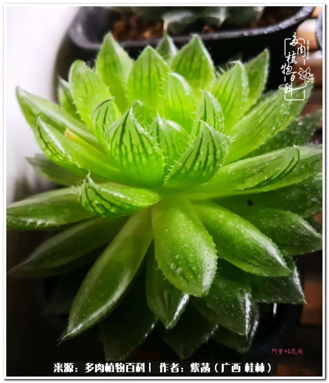 酷暑里的关爱，如十二卷般透亮绵长