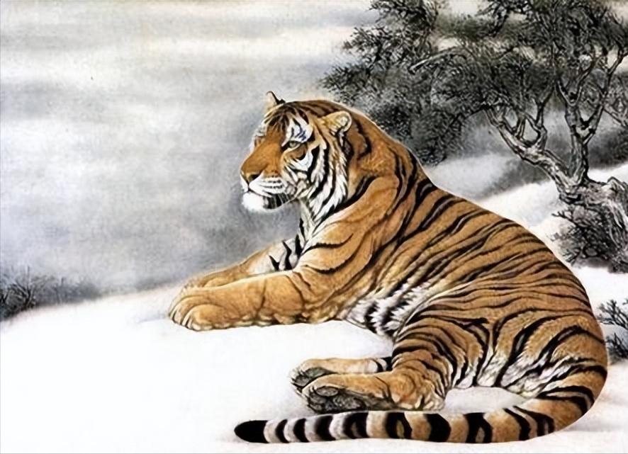 鼠牛虎运势详批,属鼠属牛属虎的注意事项